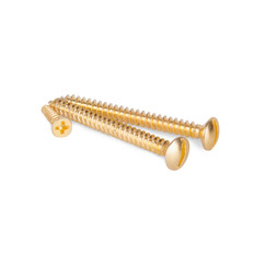 ხრახნები ზედაპირის გადამრთველისთვის Retro gold WL18-21-01 4690389105890