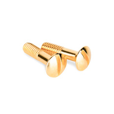 ხრახნები შემაერთებელი ყუთისთვის/ტელევიზორის სოკეტებისთვის Retro Gold WL18-22-01 4690389105906