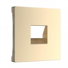 წინა პანელი Werkel სოკეტები RJ45 და RJ11 შამპანური W1192011 4690389163678