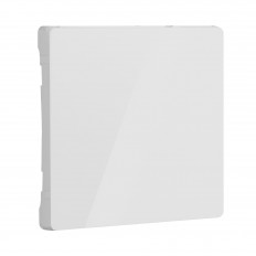 W1119041/ ღილაკი ჯვრის შეცვლისთვის (თეთრი აკრილის) W1119041