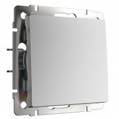 ერთჯერადი გადართვა (ვერცხლის მქრქალი) W1110065