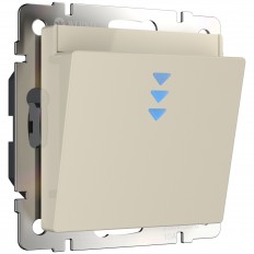 WL03-01-03 Werkel ელექტრონული ბარათის შეცვლა (სპილოს ძვლისფერი)