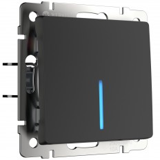 W1110108 Werkel განათებული ერთჯერადი გადამრთველი (მქრქალი შავი)