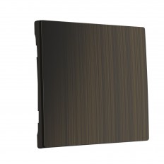 W1119012 Werkel გასაღები ერთჯერადი გადამრთველისთვის (ბრინჯაო)