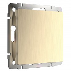 W1159210 Werkel Заглушка (шампань рифленый)