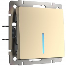 W1110111 Werkel განათებული ერთჯერადი გადამრთველი (შამპანური)