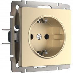 W1171011 Werkel Earth სოკეტი (შამპანური)