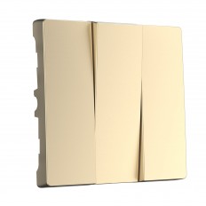 W1139011 Werkel გასაღების ნაკრები სამი ბანდა გადამრთველისთვის (შამპანური)