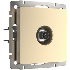 W1183011 Werkel ტელევიზორის სოკეტის ტერმინალი (შამპანური)