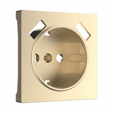 W1179511 Werkel საფარი USB სოკეტისთვის (შამპანური)