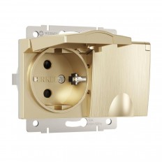 ორმაგი წყალგაუმტარი დამიწებით დამცავი საფარით და საკეტებით Werkel შამპანური გოფრირებული W1172210 4690389178108