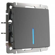 W1112104 Werkel ცალმხრივი გადამრთველი უკანა განათებით (გოფრირებული გრაფიტი)