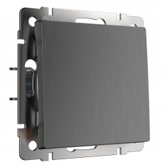 W1110004 Werkel ერთი ბანდა გადამრთველი (გოფრირებული გრაფიტი)