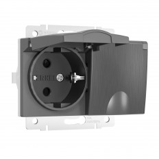 ორმაგი ტენიანობის როზეტი. მიწით. თავდაცვით. სახურავები და ფარდები (გრაფიტი ამოღებულია) W1172204