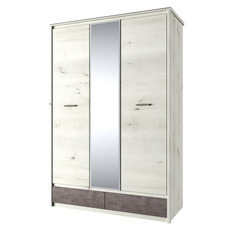 გარდერობი 3DG2S Z BJORK (მურყანი პოლარული/ონიქსი)