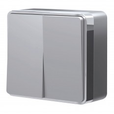 W5020006 Werkel ორმხრივი გადამრთველი გალანტი (ვერცხლი)