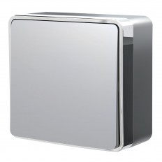 W5012006 Werkel ერთი ბანდა გადამრთველი გალანტის გავლით (ვერცხლი)