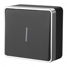 W5010135 Werkel ერთი ბანდა გადამრთველი გალანტური განათებით (შავი Werkelchrome)