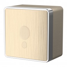 W5050210 Werkel Вывод кабеля Gallant (шампань рифленый)