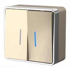 W5020110 Werkel Выключатель двухклавишный с подсветкой Gallant (шампань рифленый)