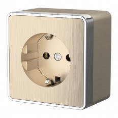 W5071010 Werkel Розетка с заземлением Gallant (шампань рифленый)