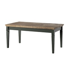 ყავის მაგიდა ტიპი 99 EVORA (მწვანე/მუხის ლეფკადა)