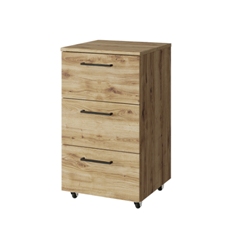 Doorset შემოვიდა კაბინეტი (მუხის ნავარა)