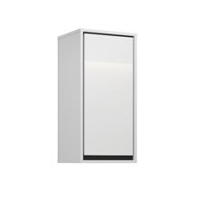 კედლის კაბინეტი 1-კარიანი ირვინი (თეთრი/შავი) 309WNP03