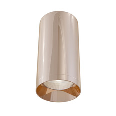 Накладной светильник Maytoni C010CL-01RG