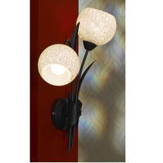 კედლის ნათურა Lussole Bagheria LSF-6291-02