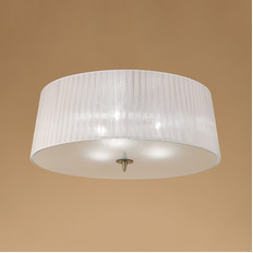 Потолочный светильник Mantra Loewe 4740