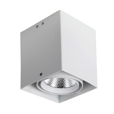 LED ჭერის განათება Favorite Flashled 1986-1U