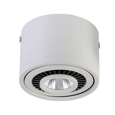 Потолочный светодиодный светильник Favourite Reflector 1774-1C