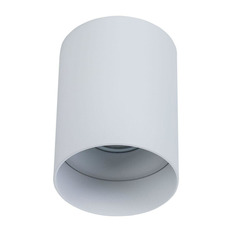 ჭერის ნათურა Maytoni Alfa C014CL-01W