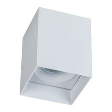 ჭერის ნათურა Maytoni Alfa C015CL-01W