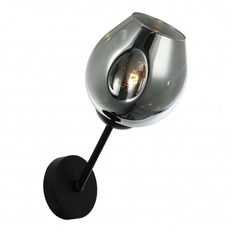 Бра Favourite TRAUBE 2359-1W