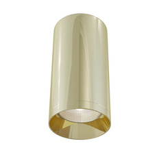 Накладной светильник Maytoni C010CL-01G