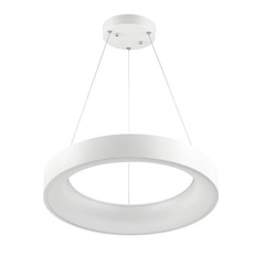 LED გულსაკიდი ნათურა Odeon Light Sole 4066/50L