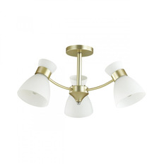 Люстра на штанге LUMION 4535/3C