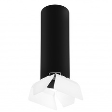 ზედაპირზე დამონტაჟებული ნათურა Lightstar R6497486