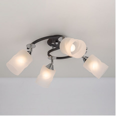 სპოტი Citilux CL119241