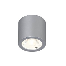 Накладной светильник Favourite 2808-1C