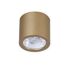 Накладной светильник Favourite 2807-1C