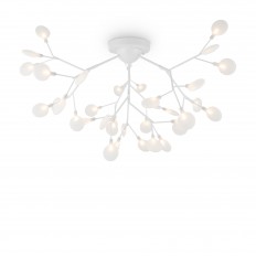 ჭერის ნათურა Freya FR5049CL-36W1