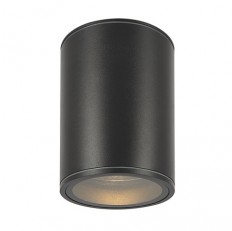 Потолочный светильник Outdoor O306CL-L12GF