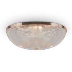 ჭერის ნათურა Maytoni C046CL-06G