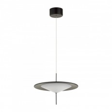 გულსაკიდი ნათურა Odeon Light 5012/16L