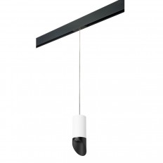 საჩვენებელი ნათურა Lightstar Rullo (214436+595857+201437) PRORP43637