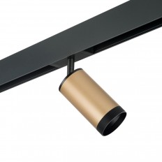 საჩვენებელი ნათურა Lightstar Rullo (214440+595057+201437) PRO44037