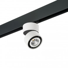 LED შუქნიშანი Lightstar Forte Muro (595061+214816) PRO214816